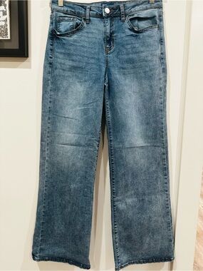 Project Indigo Jean